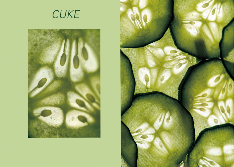 1643183268601883.png image.png