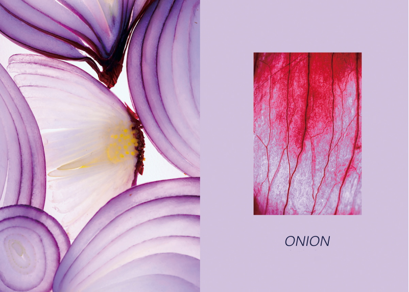 1643183275717111.png image.png