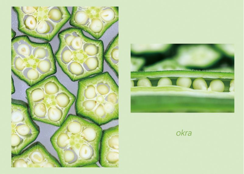 1643183280805313.png image.png