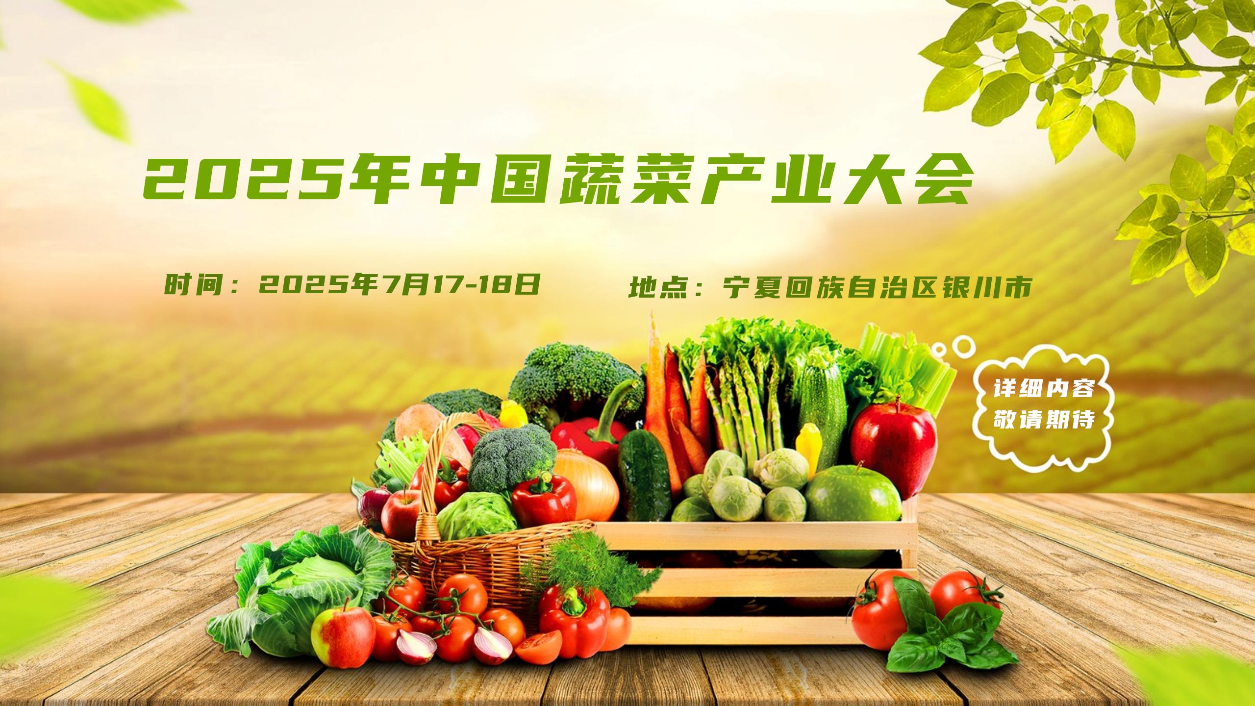 2025年菠菜网产业大会.jpg