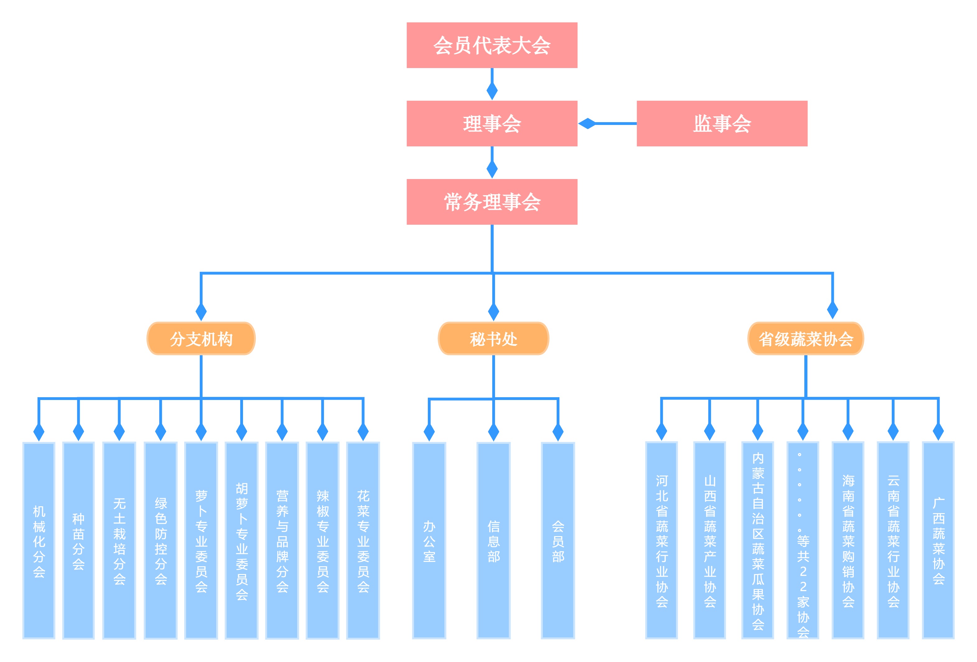 组织结构图.jpg